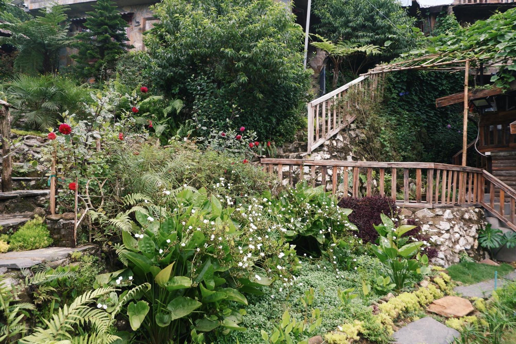 Ta Phin Cottage Sa Pa Ngoại thất bức ảnh