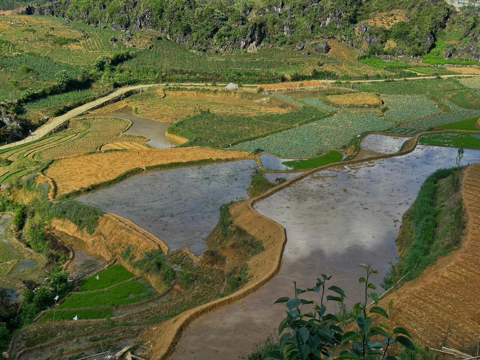 Ta Phin Cottage Sa Pa Ngoại thất bức ảnh